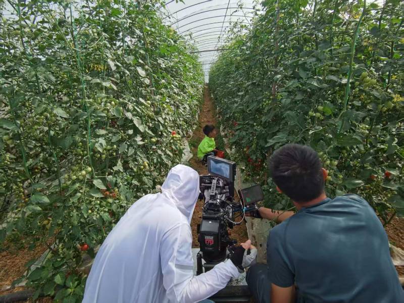 产品宣传片拍摄除了平拍仰拍还有哪些拍摄角度